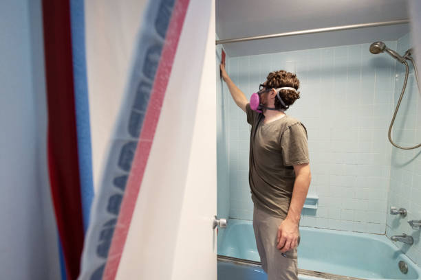  Monument, CO Mold Removal Pros
