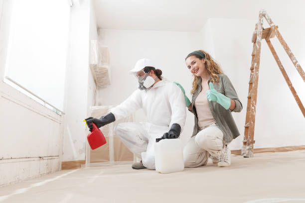 Best Water Damage & Mold Remediation  in Monument, CO